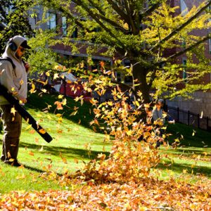 blowing-leaves.jpg